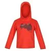 Regatta Sudadera Highton Montaña De Elasticidad Extol Para Niños/Niñas Naranja Cajún 2 Regatta Sudadera Highton Montaña De Elasticidad Extol Para Niños/Niñas Naranja Cajún -Regattas Tienda sudadera highton montaa de elasticidad extol para niosnias naranja cajun